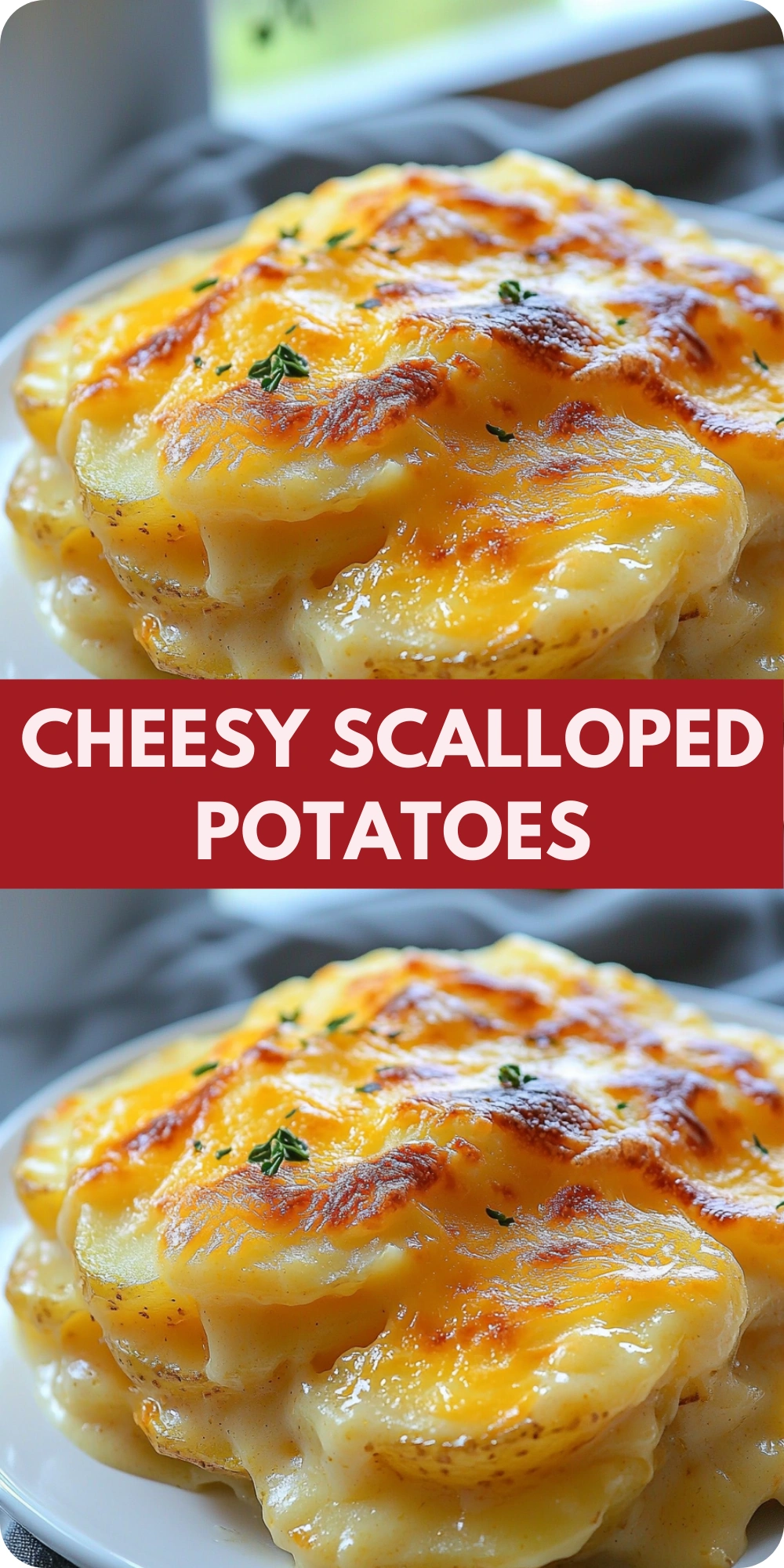 Cheesy Scalloped Potatoes