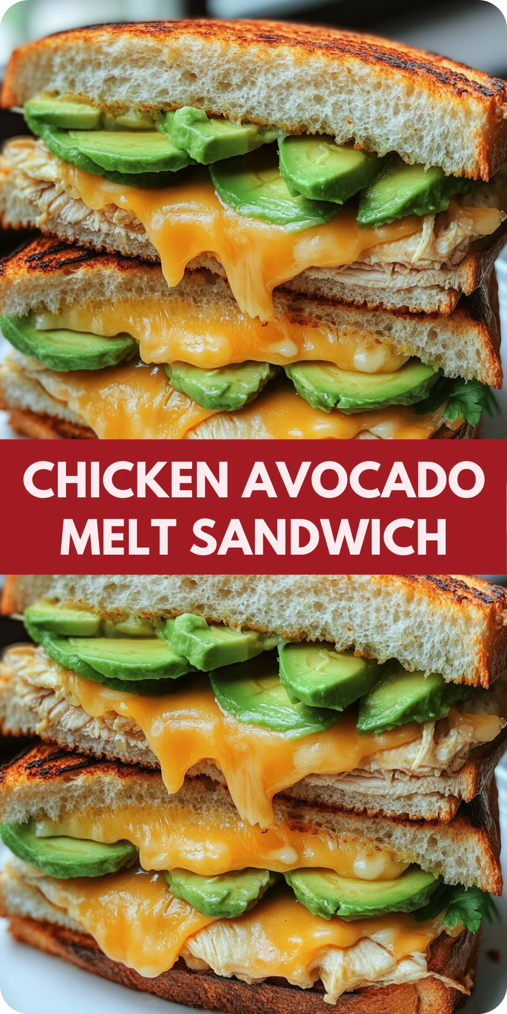 Chicken Avocado Melt Sandwich