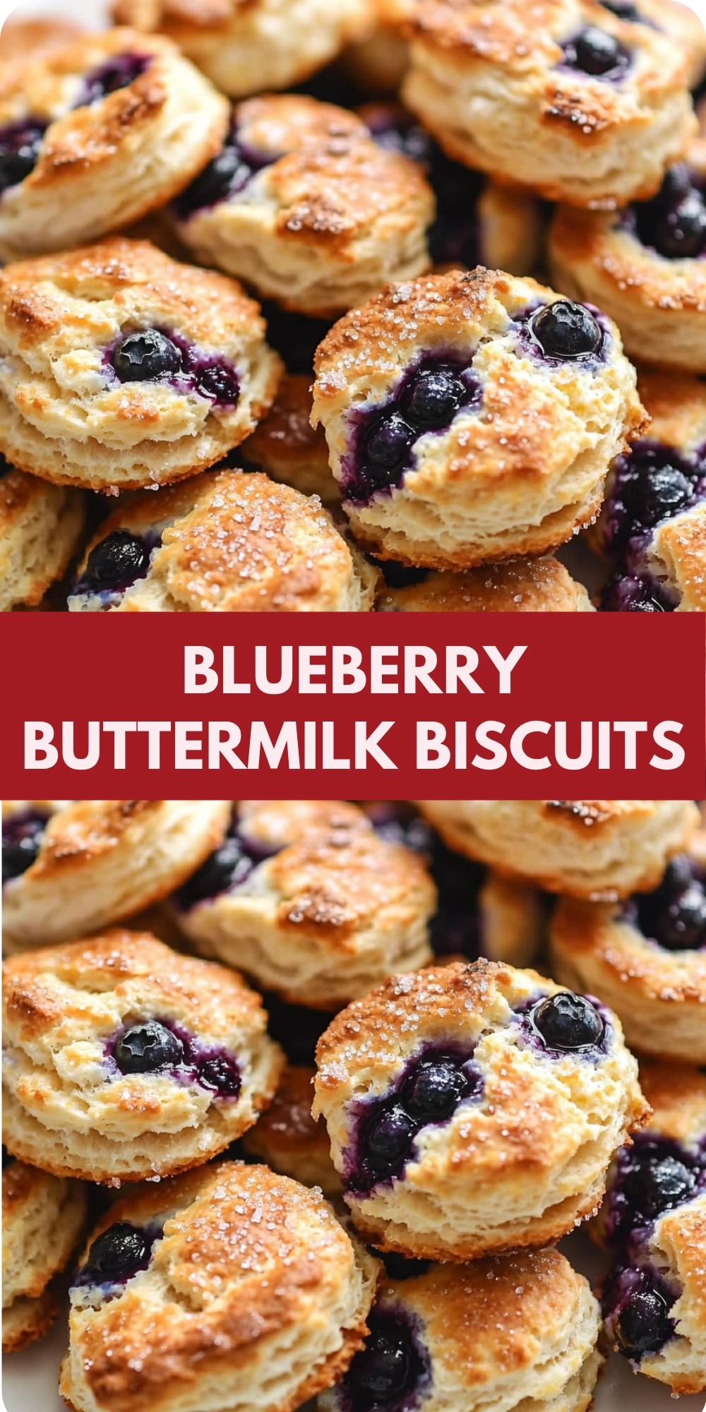 Blueberry Buttermilk Biscuits