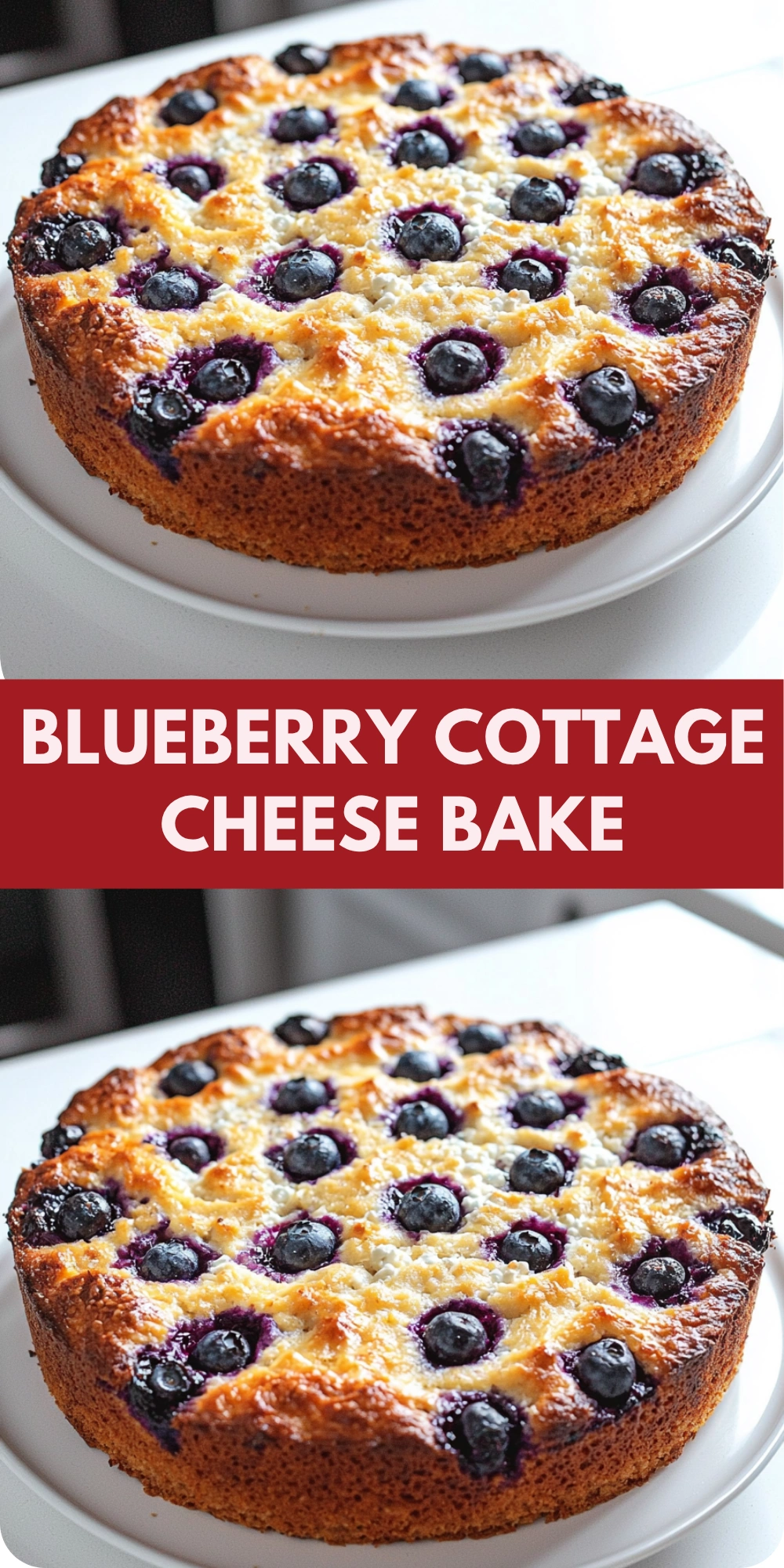 Blueberry Cottage Cheese Bake