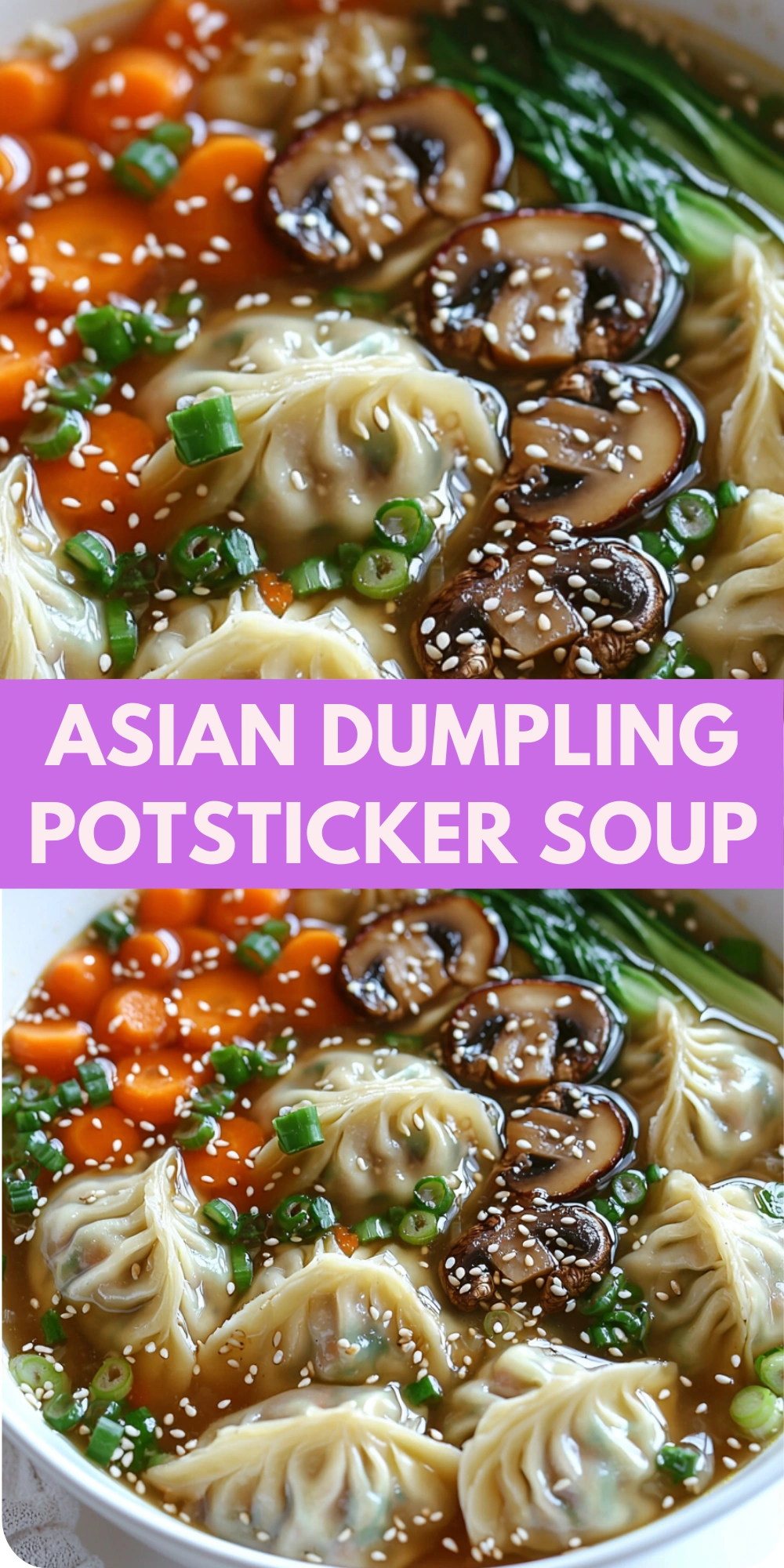 Asian Dumpling Potsticker Soup