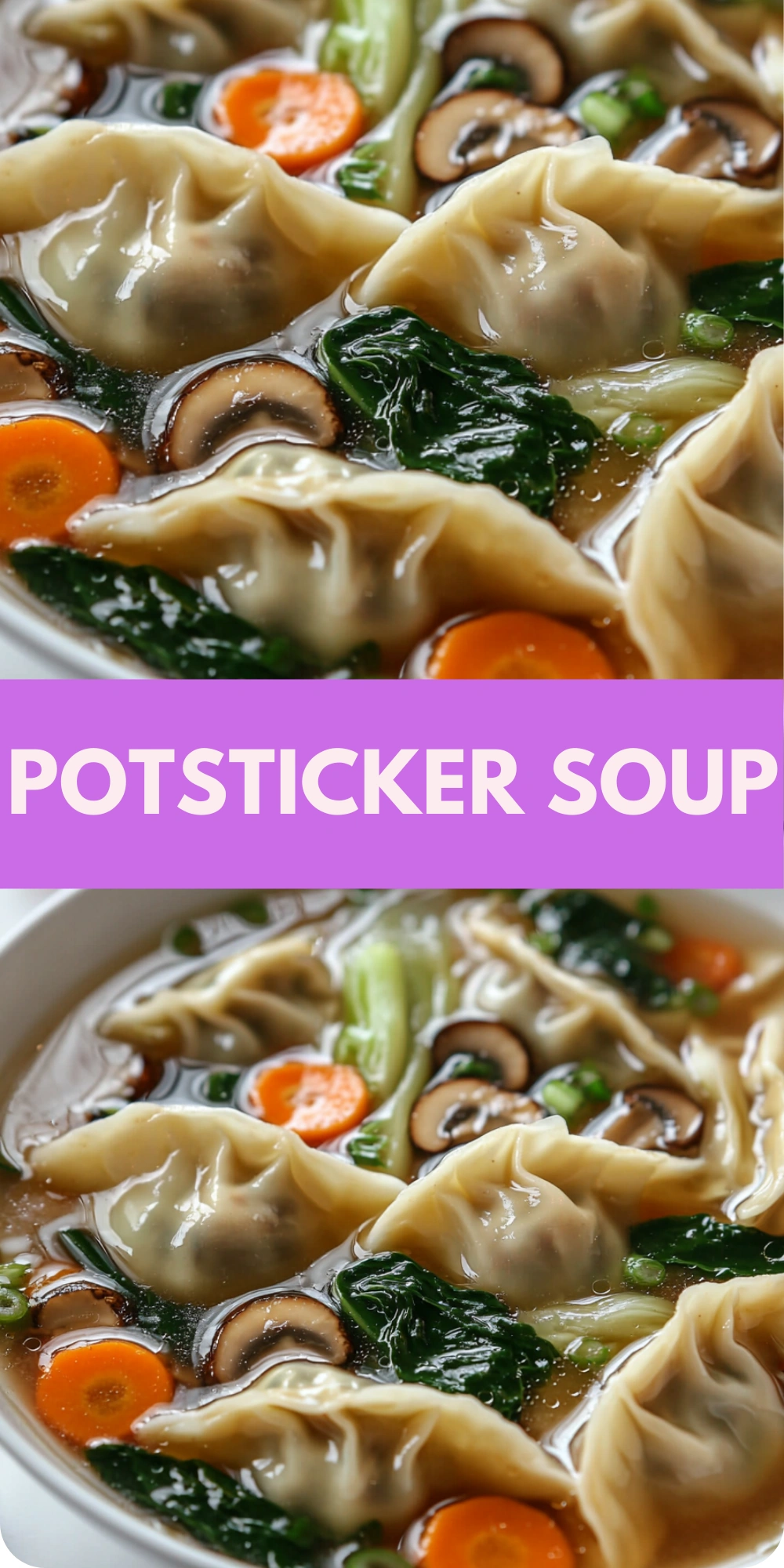 Potsticker Soup