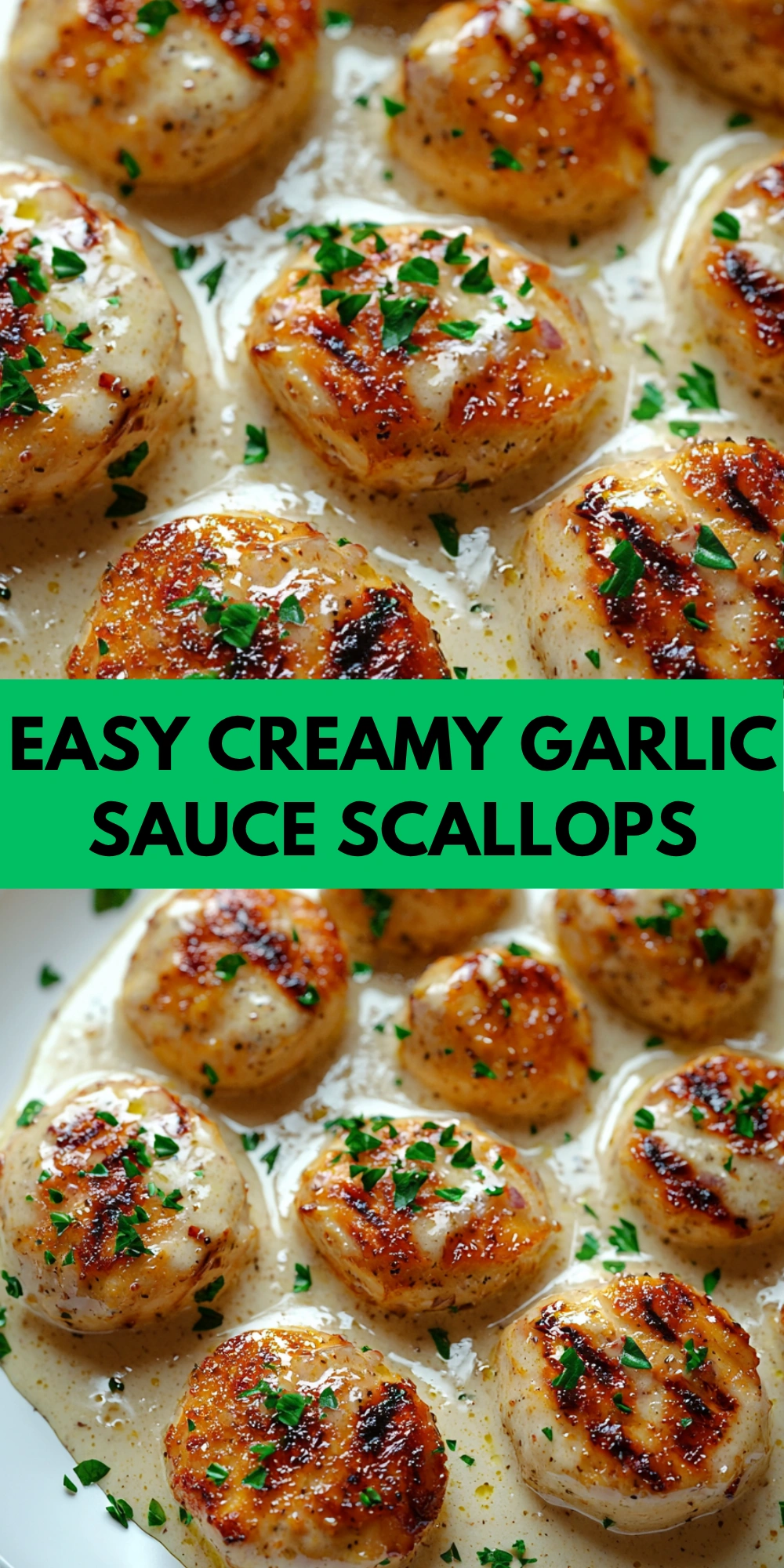 Easy Creamy Garlic Sauce Scallops